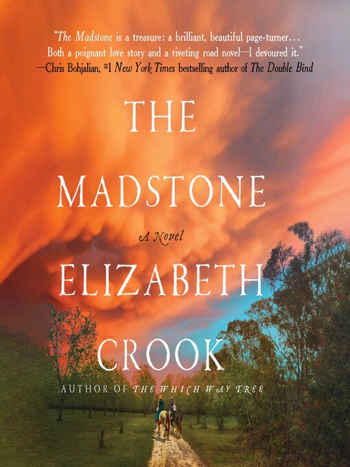 Cover image for The Madstone